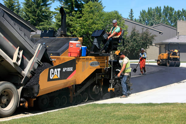 Best Residential Paver Driveway  in Maud, TX